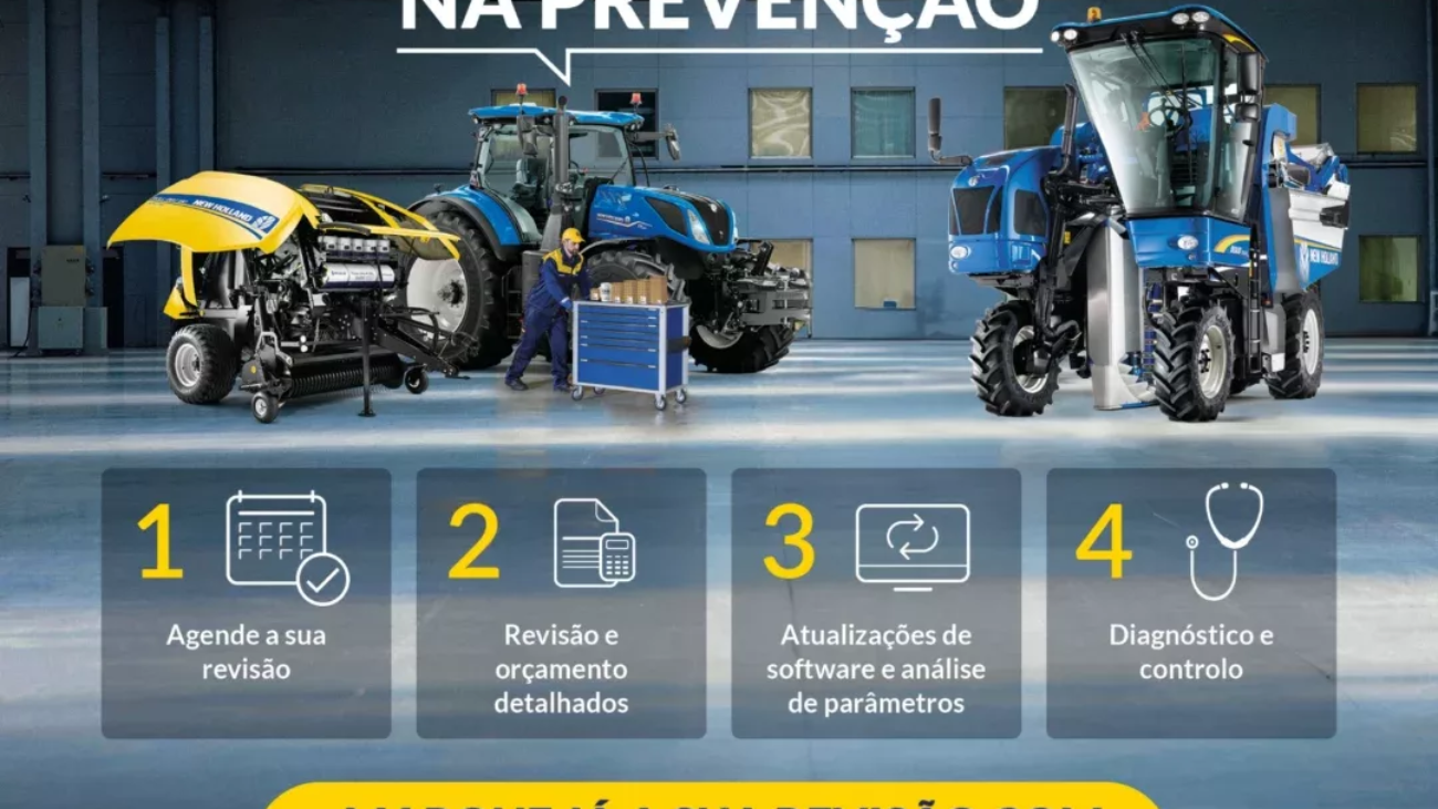 revisão