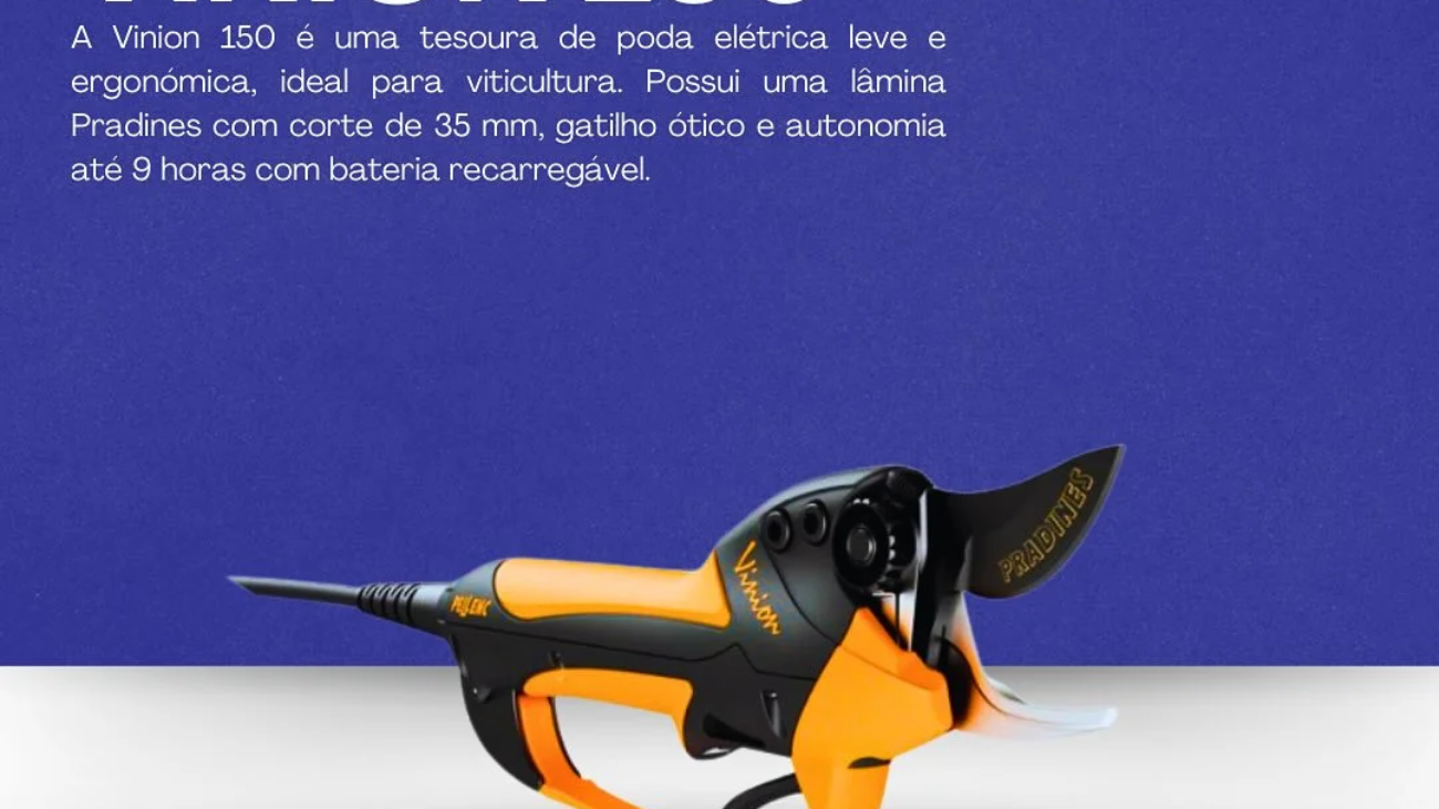 vinion 150