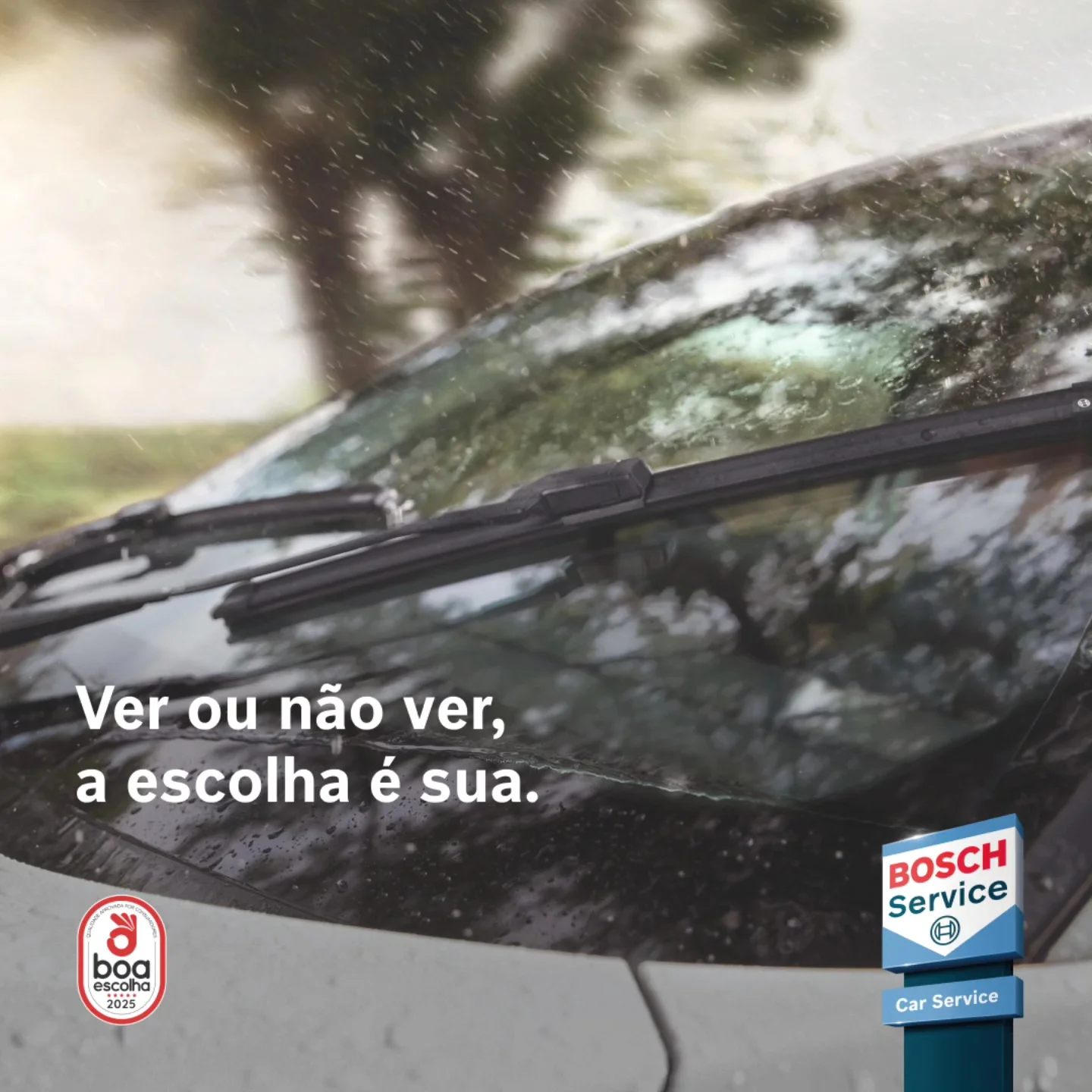 escovas limpa vidros