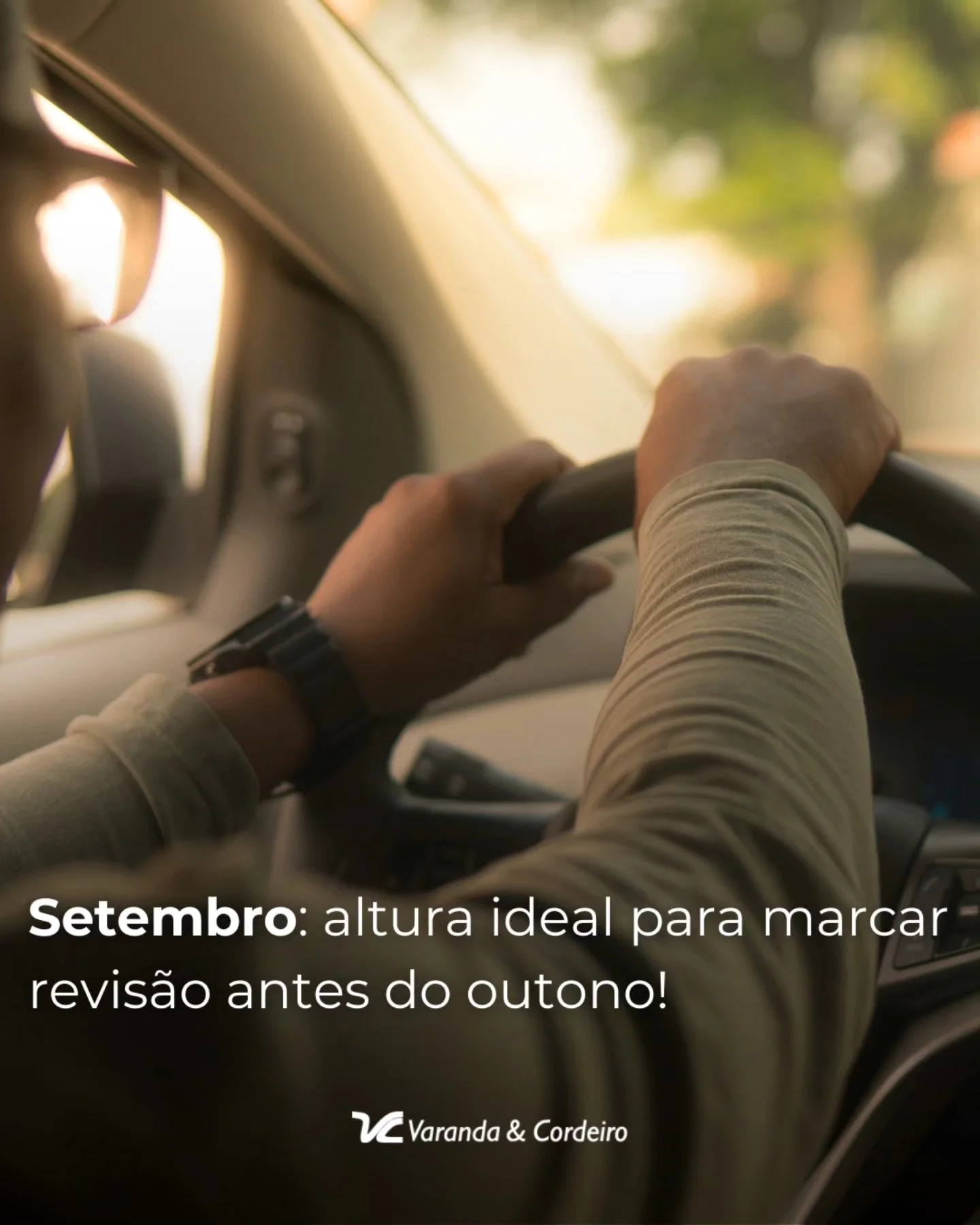 revisão setembro