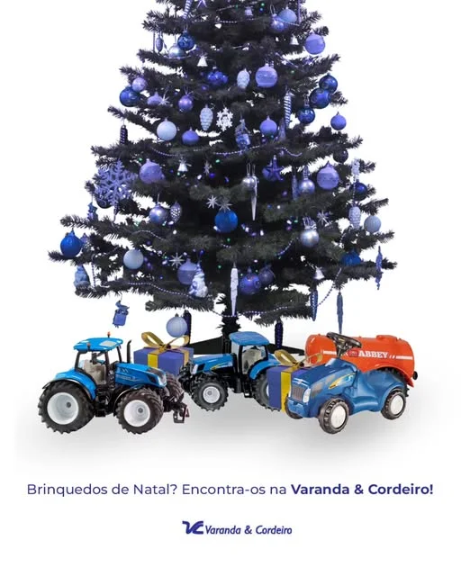chegada do natal