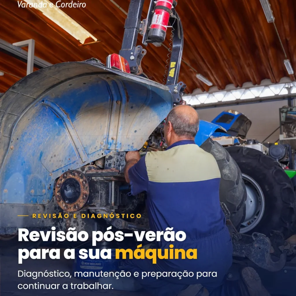 Revisão Pós-Verão