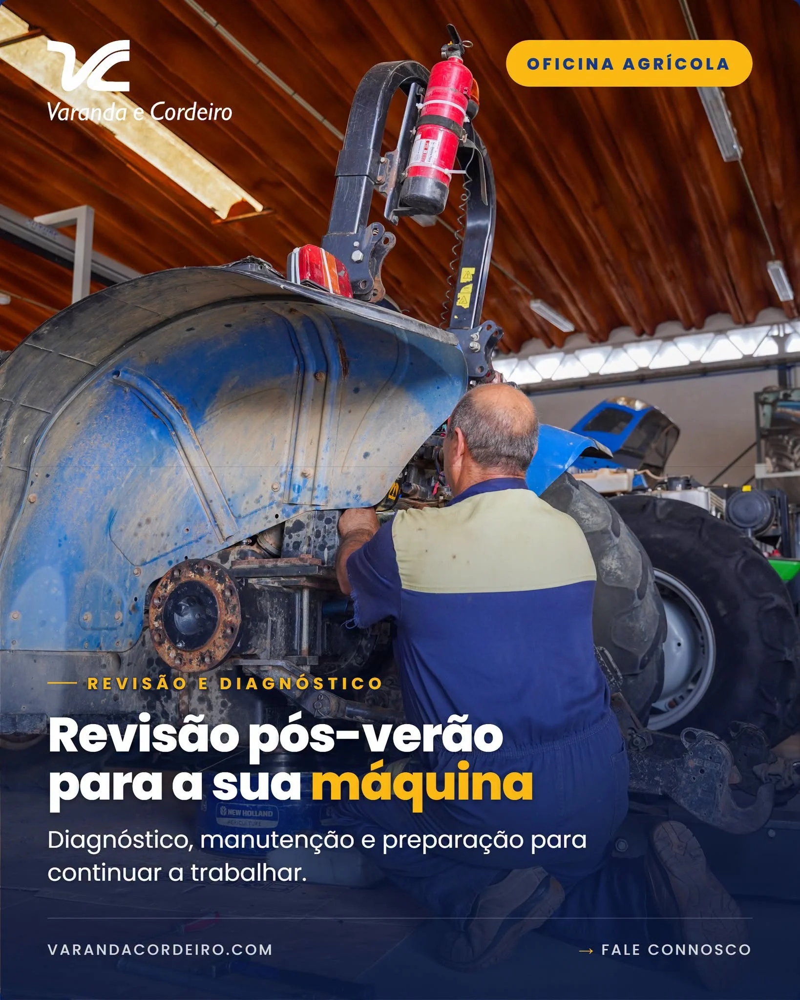 revisão e diagnóstico agrícola